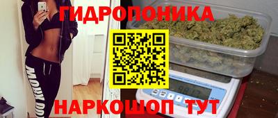 гидра Краснознаменск