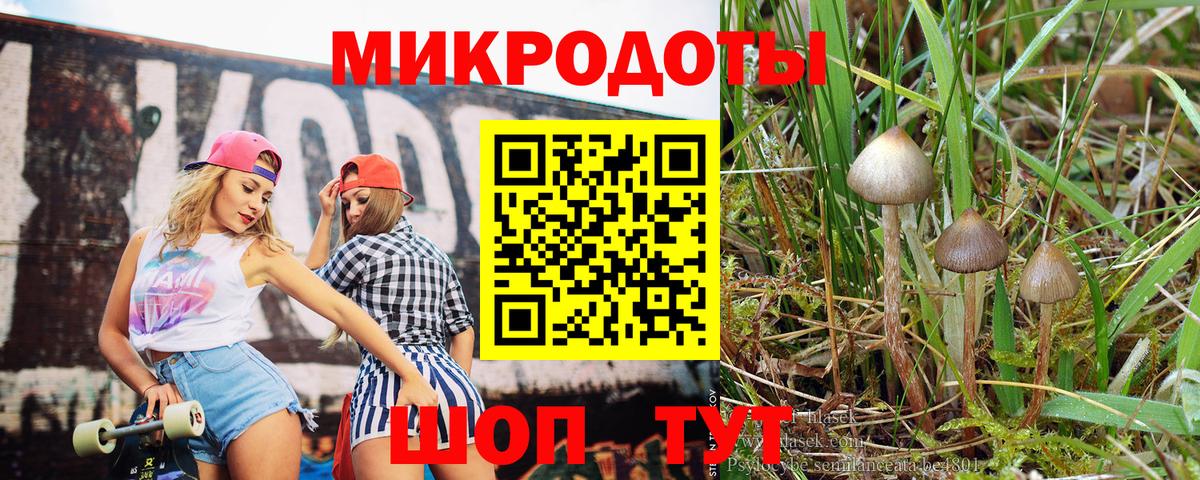 Псилоцибиновые грибы прущие грибы Бирск