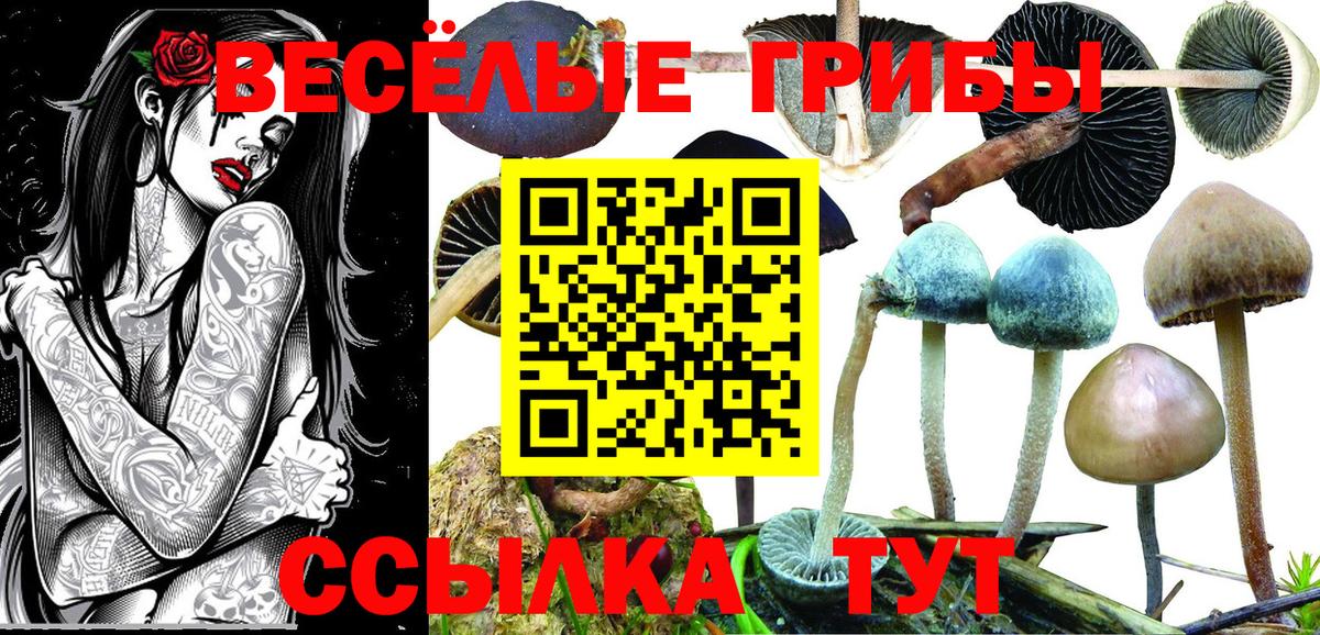 Галлюциногенные грибы Cubensis  Галлюциногенные грибы мухоморы  Бирск  купить наркотик  Вход с VPN 